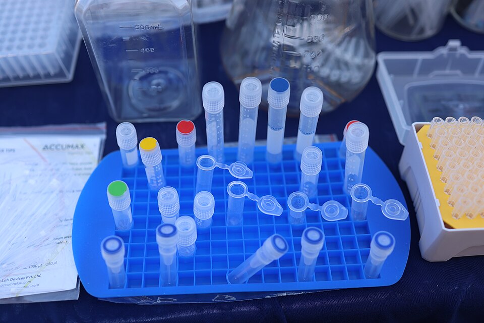 Laboratory microcentrifuge tubes and pipette tips (representative image)